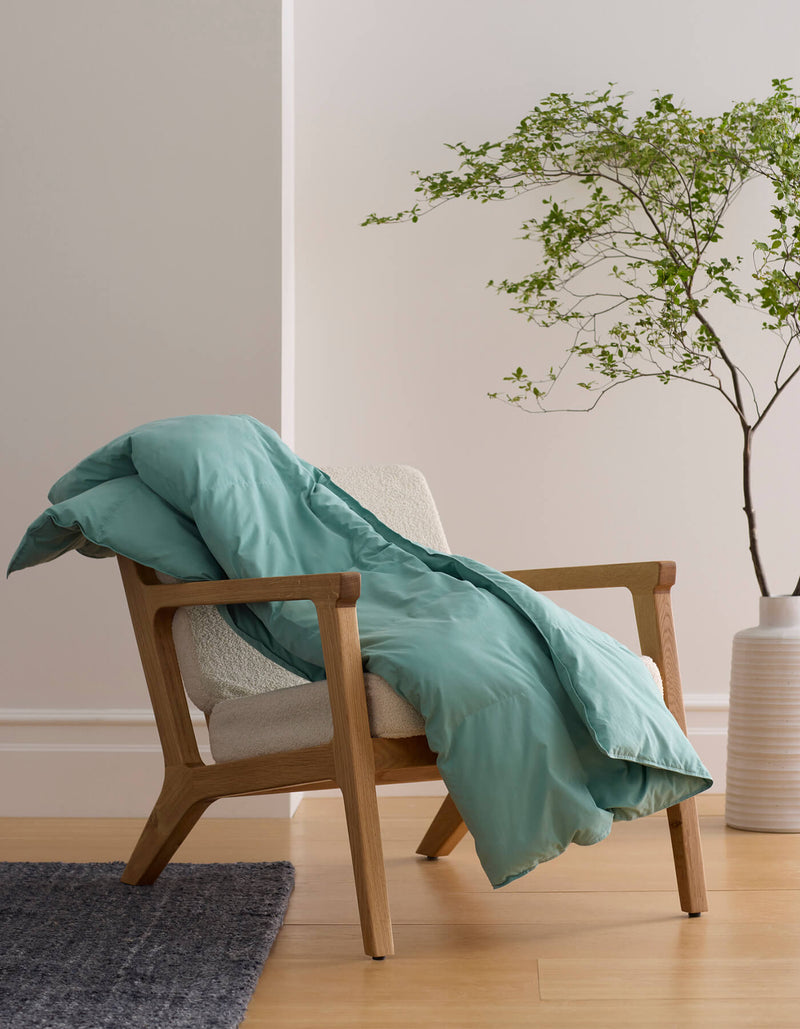 The Cozy Earth Down Alternative Throw in teal is draped over a light wood armchair with cream upholstery, beside a green leafy plant in a white vase on a wooden floor